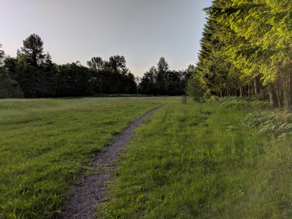 Old Man Trail near Sky Country Trailhead taken by Joshua Stein