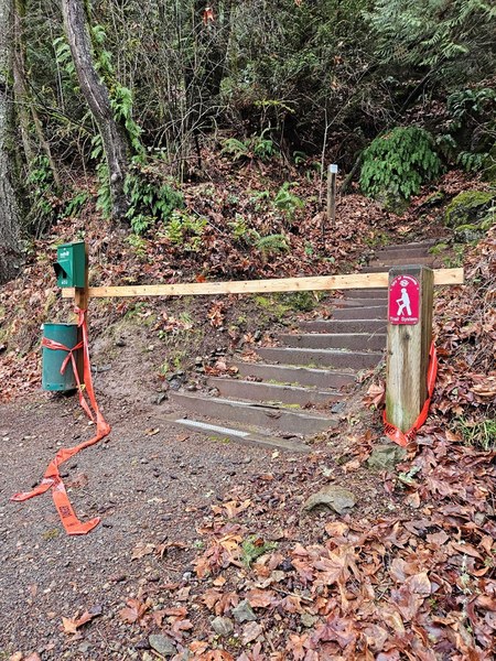 20240130_Terrace THa.jpg