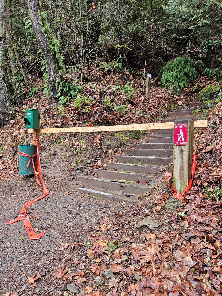 20240130_Terrace THa.jpg