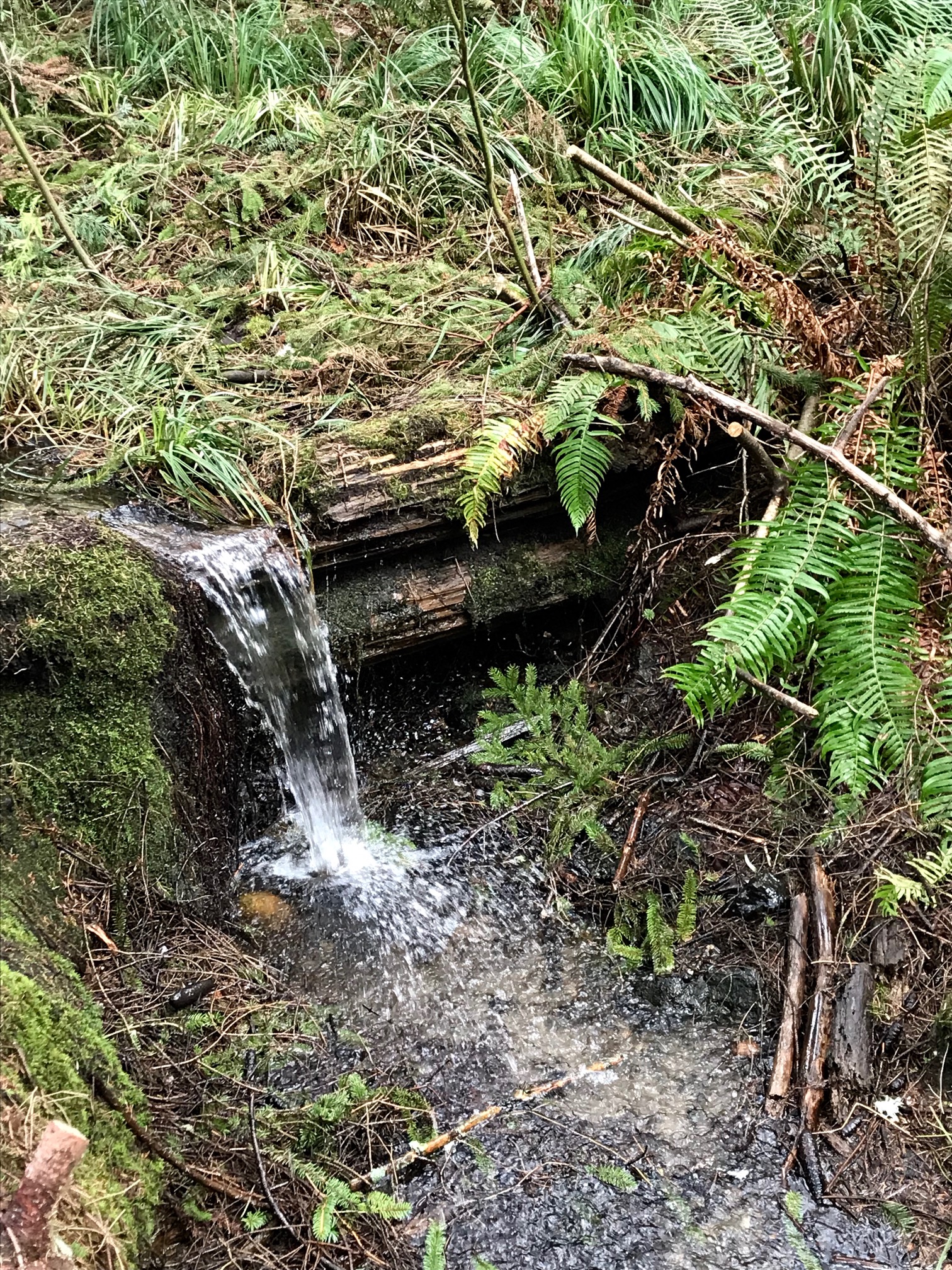 Mountaineers Ravenna Photo Trip 04.jpg