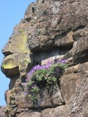 Coyote Wall & Catherine Creek