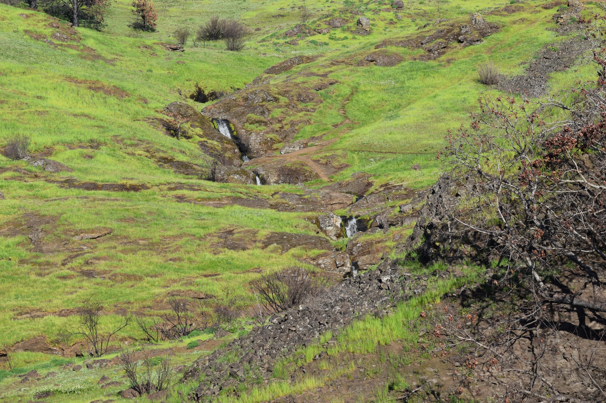 Little Maui Falls.JPG