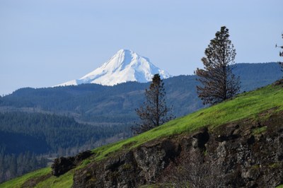 Mt Hood in the background.JPG