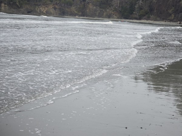 20260315_114131 (1).jpg