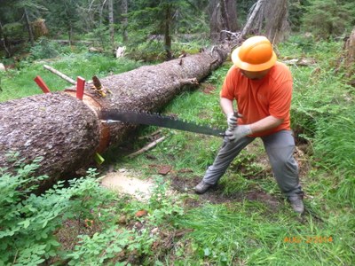 Darrington Ranger District Trails