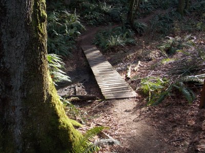 Dash Point State Park