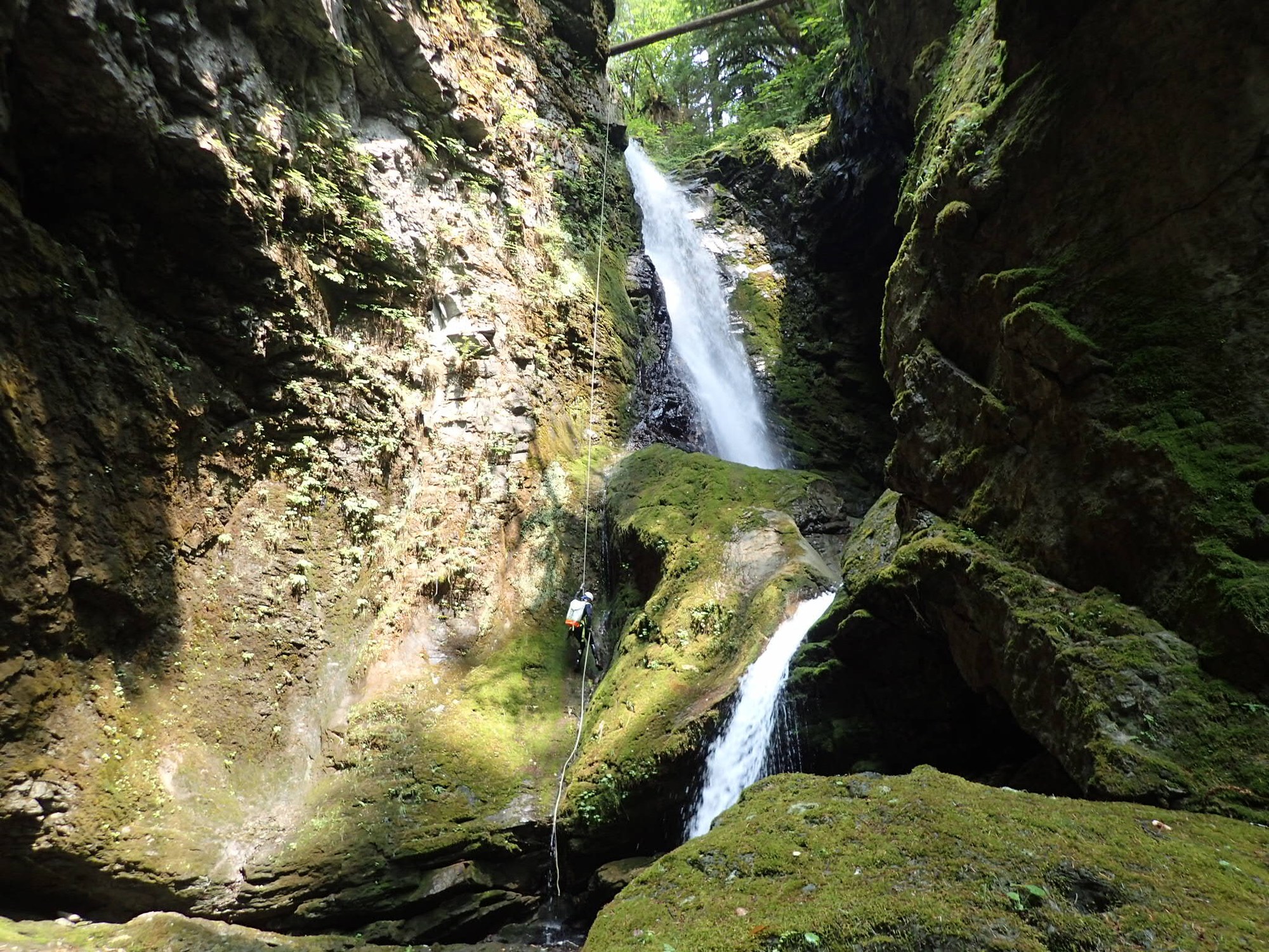 Davis Creek — The Mountaineers