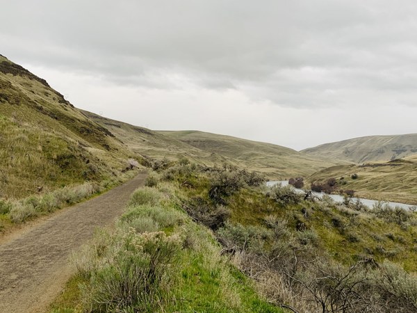 Deschutes River Trail near the trailhead at Deschutes River State Recreation Area