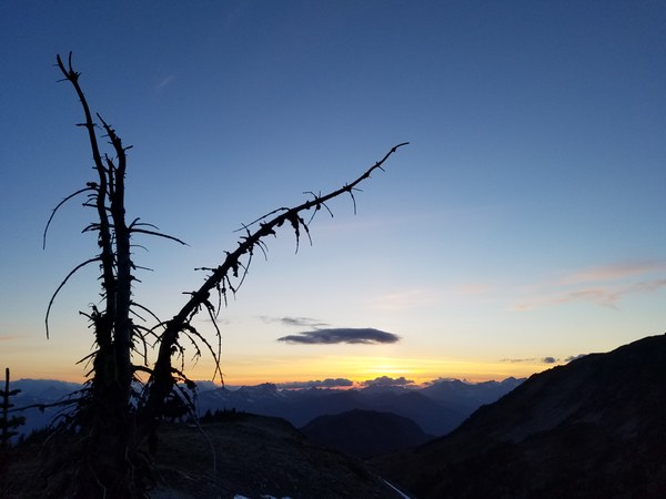 2017-08-19 20.18.11.jpg