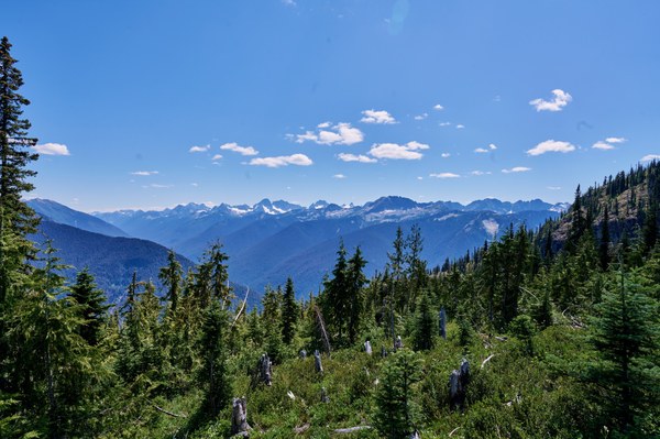 DSC05790_HDR.jpeg DSC05790_HDR.jpeg