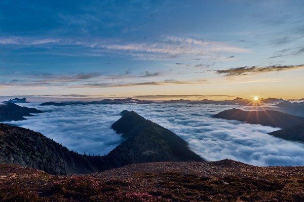 DSC07218.jpeg DSC07218.jpeg