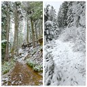 24_DirtyHarryTrail 4-5-24.jpg