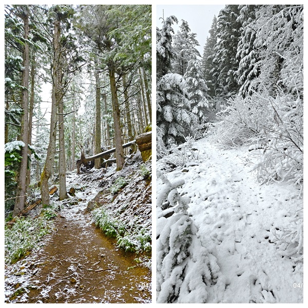 24_DirtyHarryTrail 4-5-24.jpg