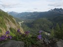 IMG_6732Penstemon view.JPG