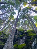 IraSpring Connector trail 11-16-23.jpg