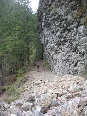 Dosewallips River/Abandoned National Park Road