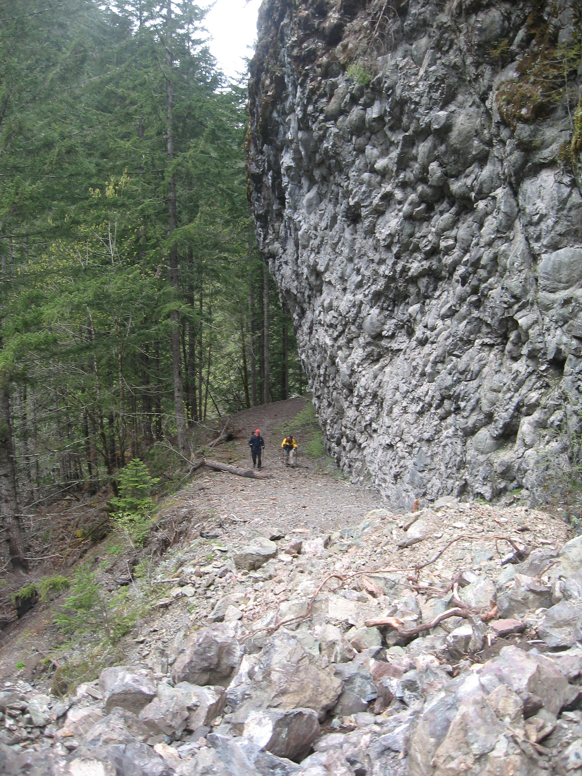 Inner Constance Shoulder on the Dosewallips River Trail 