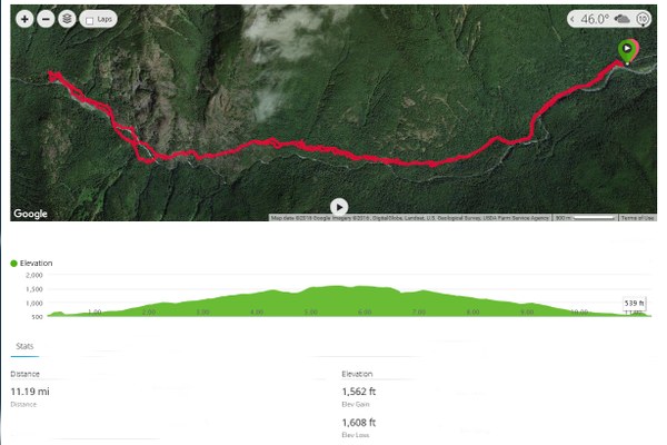 Dosewallips Road GPS Track, Distance and Elevation Particulars