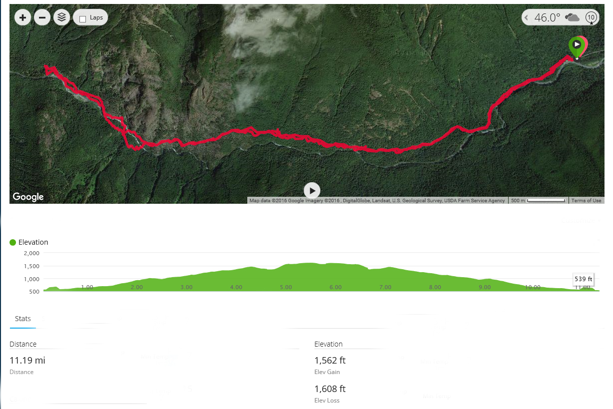 Dosewallips Road GPS Track, Distance and Elevation Particulars — The