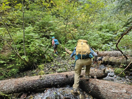 20250905_112728 (Medium).jpg