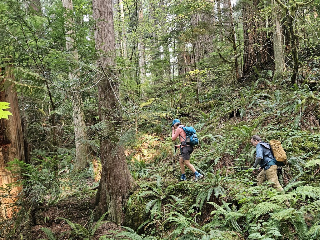 20250905_113046a (Medium).jpg