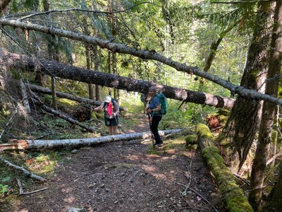 Dry Creek — The Mountaineers