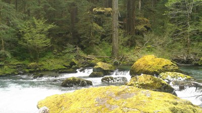 Duckabush River