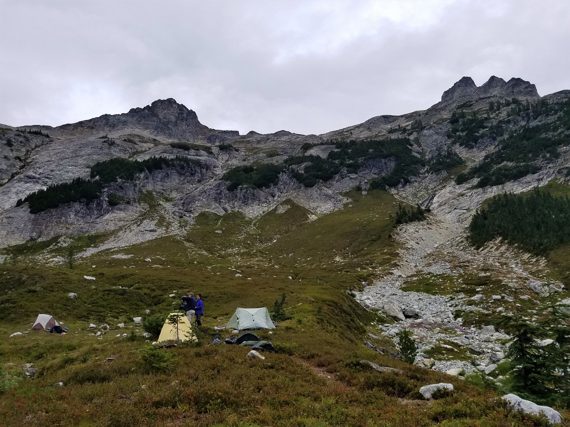 48621119898_cacbfc1990_k (1).jpg