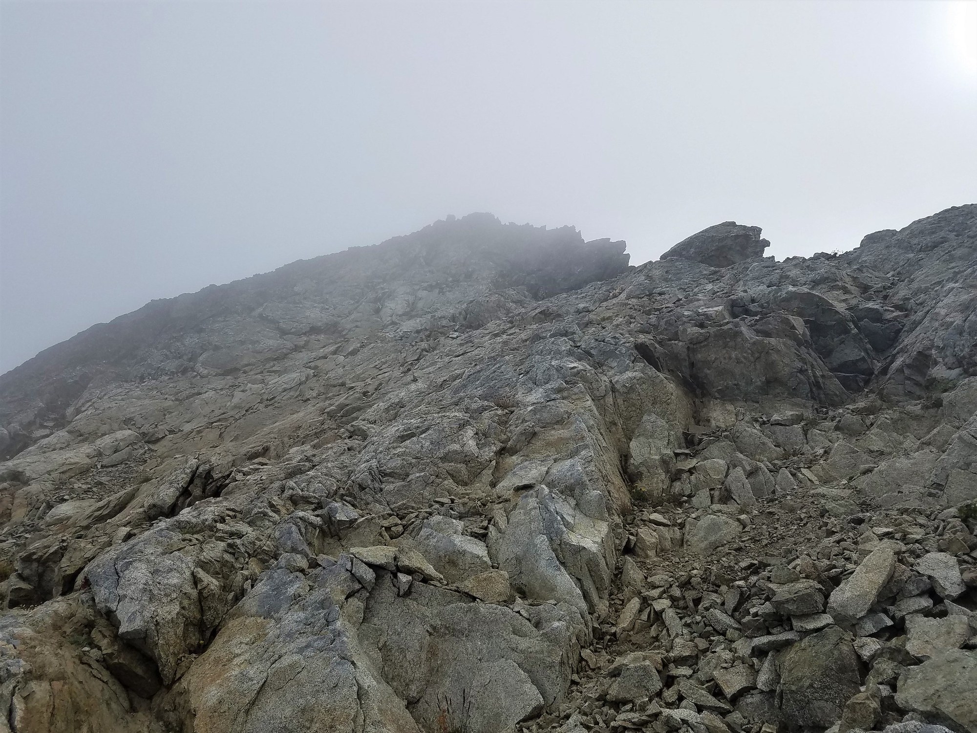 48621127598_c36013a45b_k (1).jpg