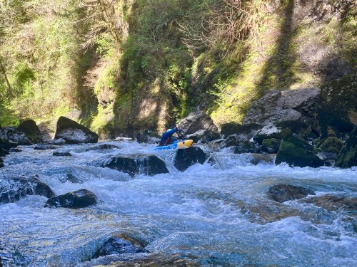 Humptulips Gorge Section.jpg