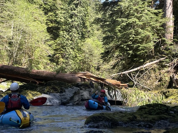 Sneaking by Wood Hazard.jpg