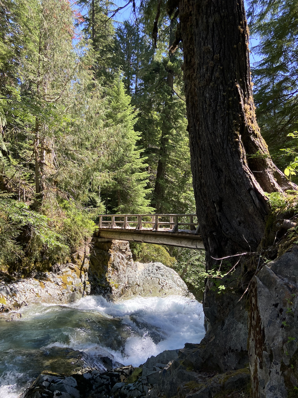 beautiful bridge.jpg