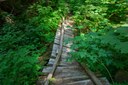 Bridge in need of repairs-Eastside Trail-Mt Rainier NP-1119.jpg