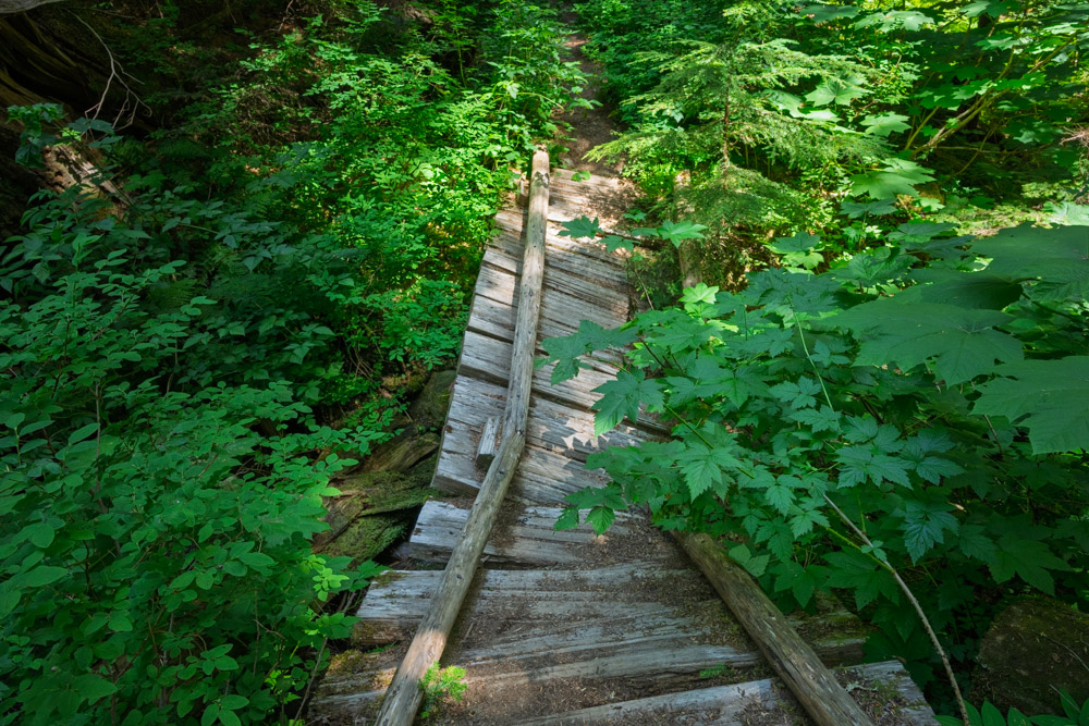 Bridge in need of repairs-Eastside Trail-Mt Rainier NP-1119.jpg