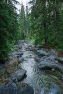 Deer Creek-Eastside Trail-Mt Rainier NP-0916.jpg