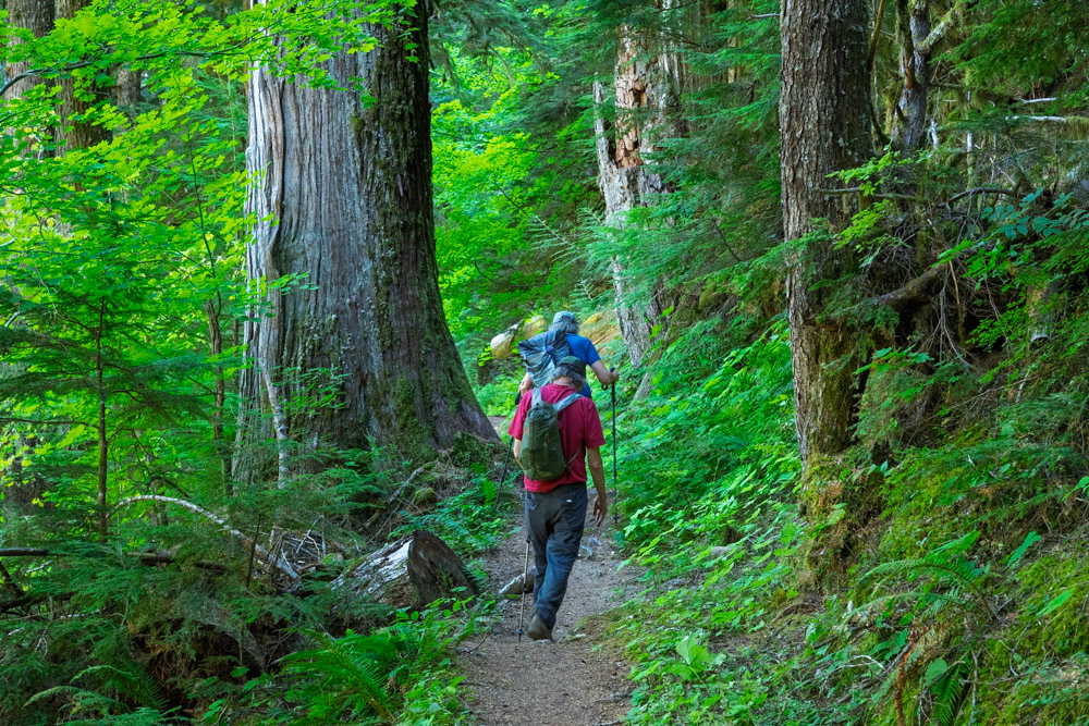 Eastside Trail 1-Eastside Trail-Mt Rainier NP-0193.jpg