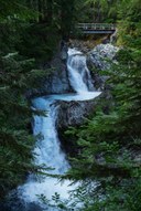 -Eastside Trail-Mt Rainier NP-1181.jpg