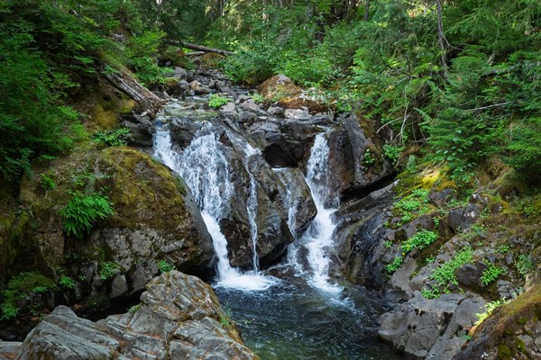 Falls around corner on Chinook Creek-Eastside Trail-Mt Rainier NP-0408.jpg