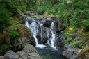 Falls around corner on Chinook Creek-Eastside Trail-Mt Rainier NP-0408.jpg