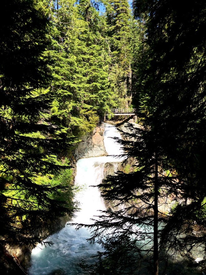 Ohanapecosh falls.jpg