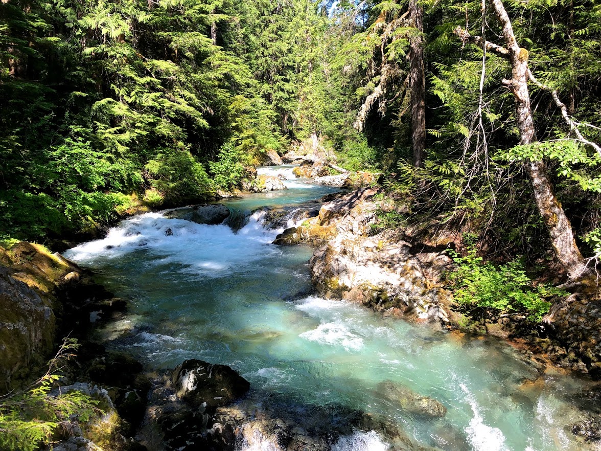 Ohanpecosh upriver.jpg