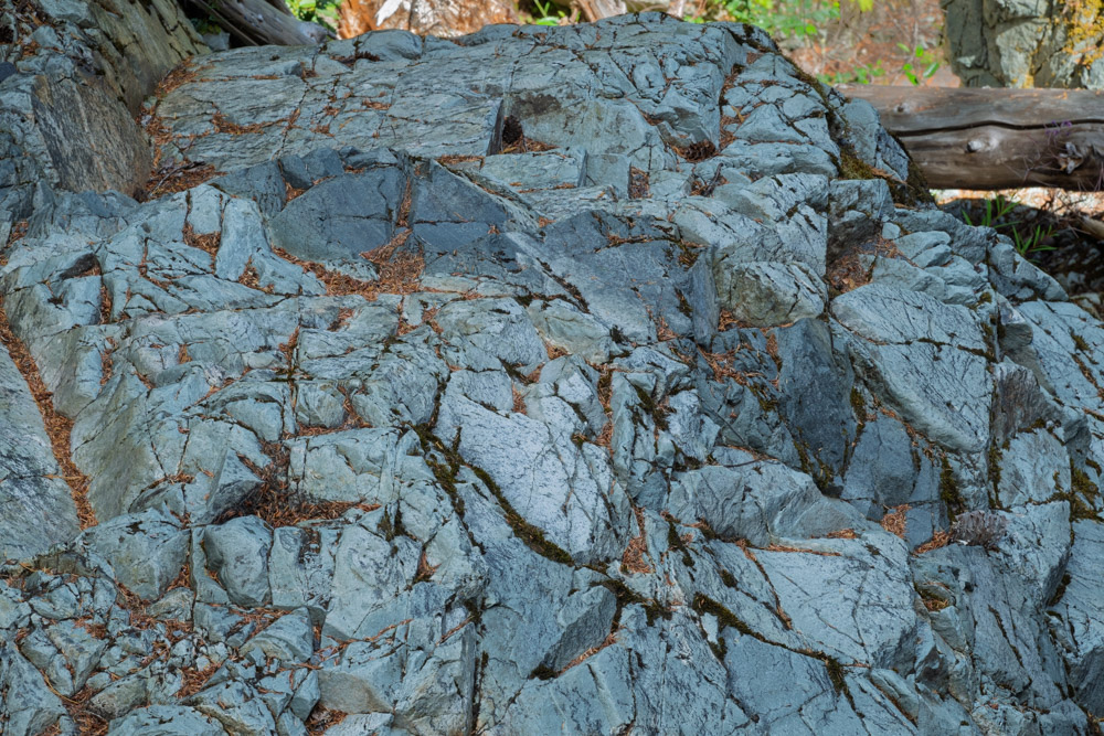 Rocks on the Ohanapecosh -Eastside Trail-Mt Rainier NP-0162.jpg