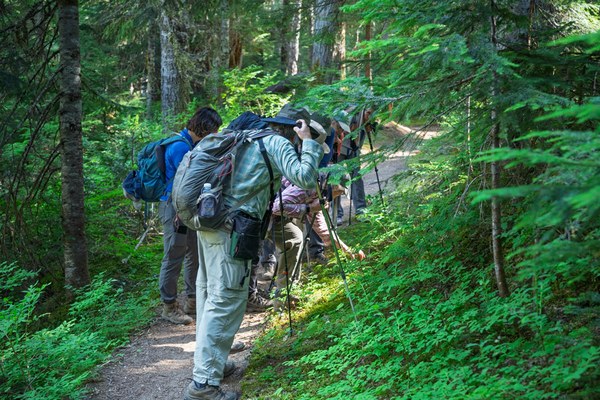 Trail and finding something-Eastside Trail-Mt Rainier NP-0029.jpg