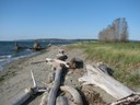 Everett Harbor & Jetty Island