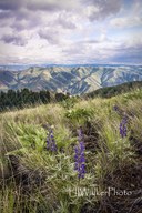 Fields Spring State Park