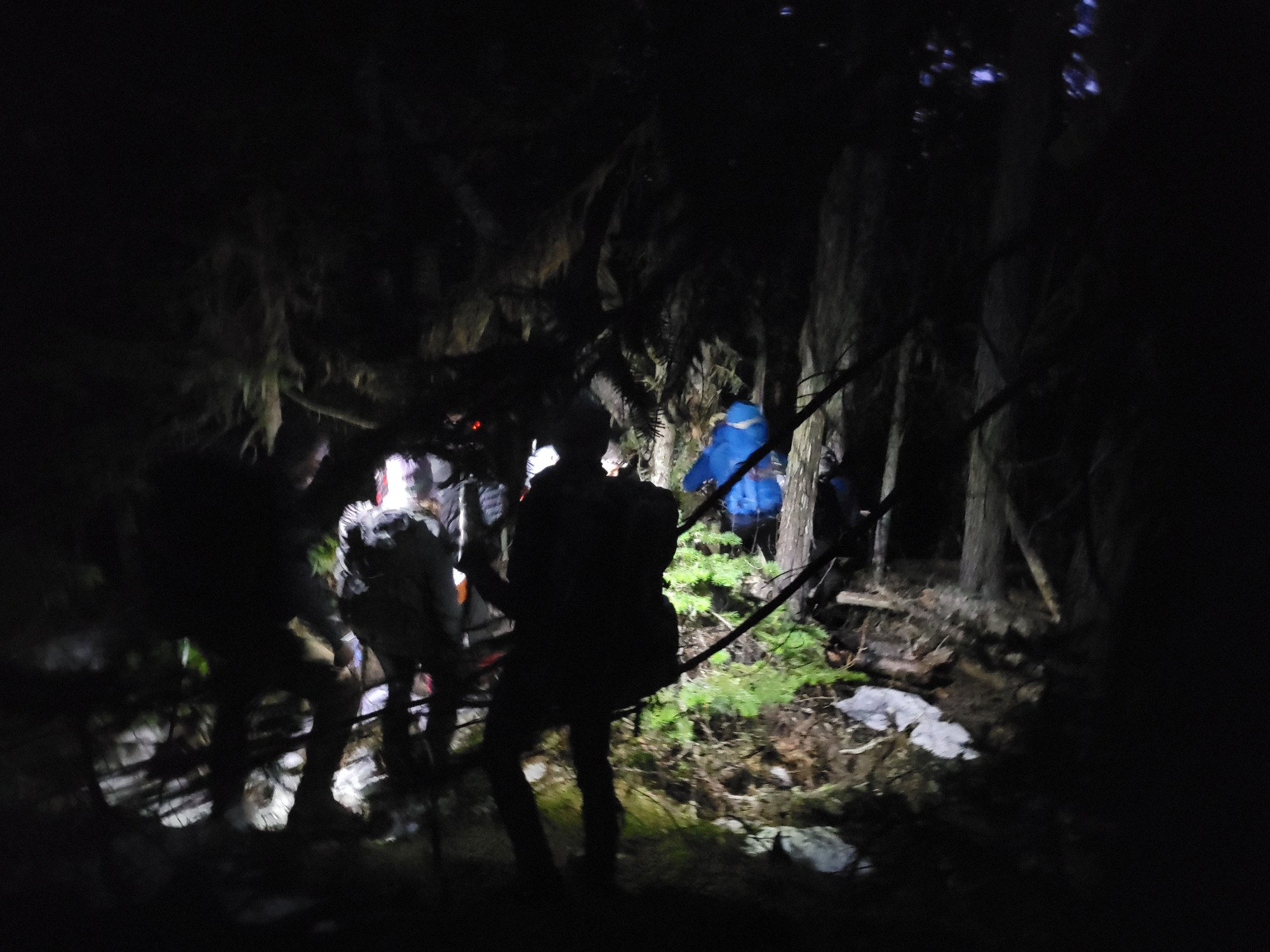 IMG_0566.jpeg IMG_0566.jpeg