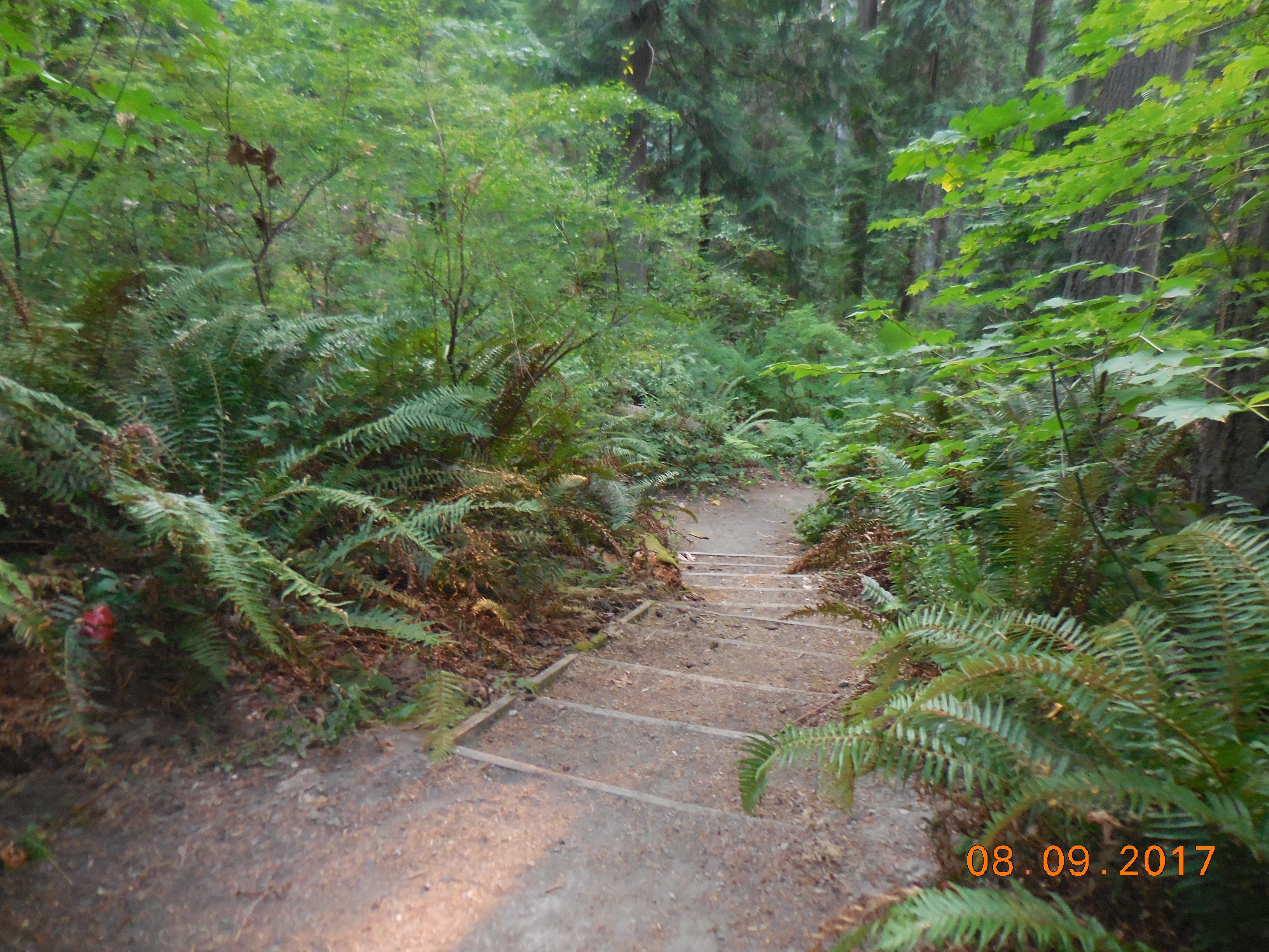 2017-08-09 19.02.24.jpg