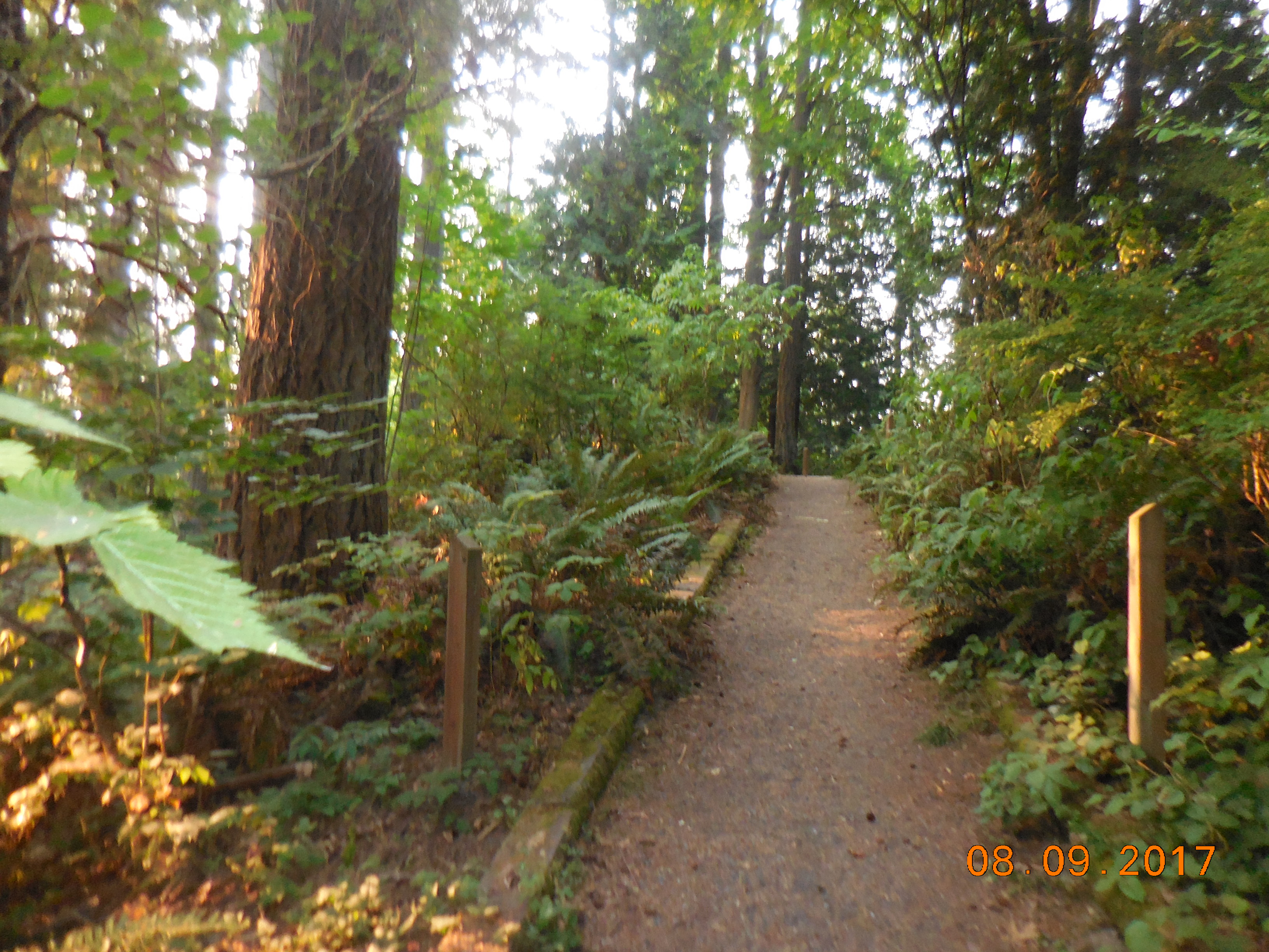 2017-08-09 19.02.29.jpg