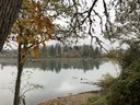 Fort Steilacoom Park