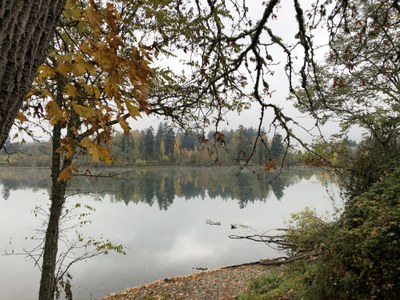 Fort Steilacoom Park